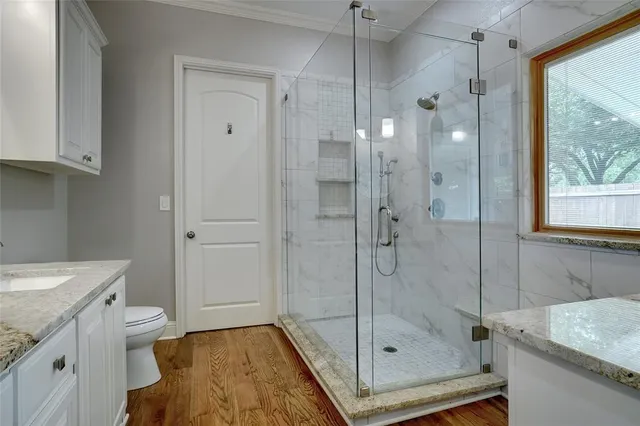 a bathroom with a granite countertop sink a toilet and shower