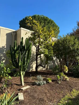 a view of a garden with plants
