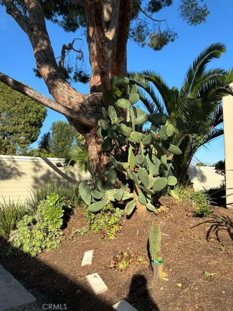 a view of a garden