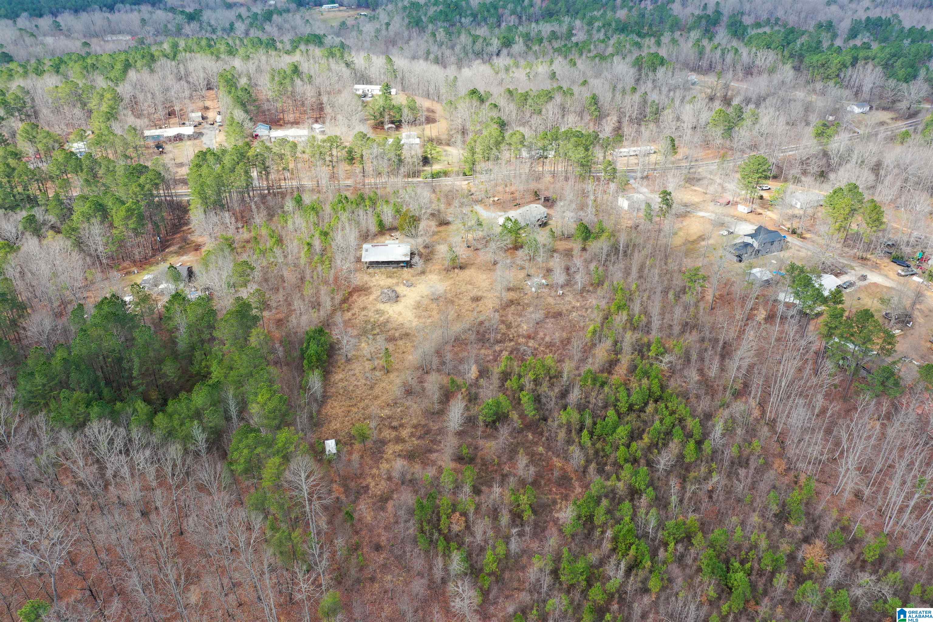 2226 Chula Vista Mtn Road Pell City, AL 35125 - Photo 39 of 47