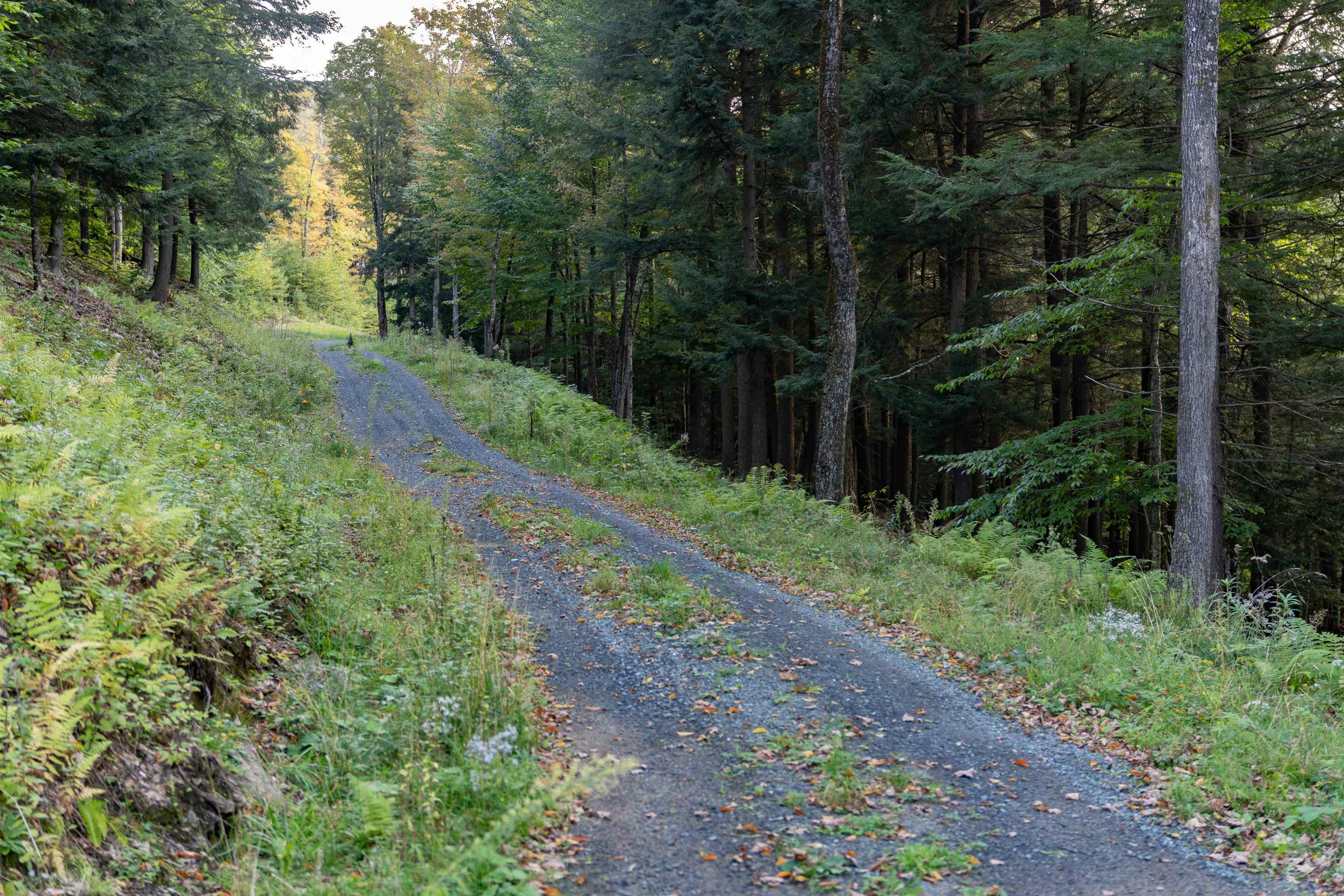 0 Folding Hills Road Woodstock, VT 05091 - Photo 3 of 11 Gallery Image 3