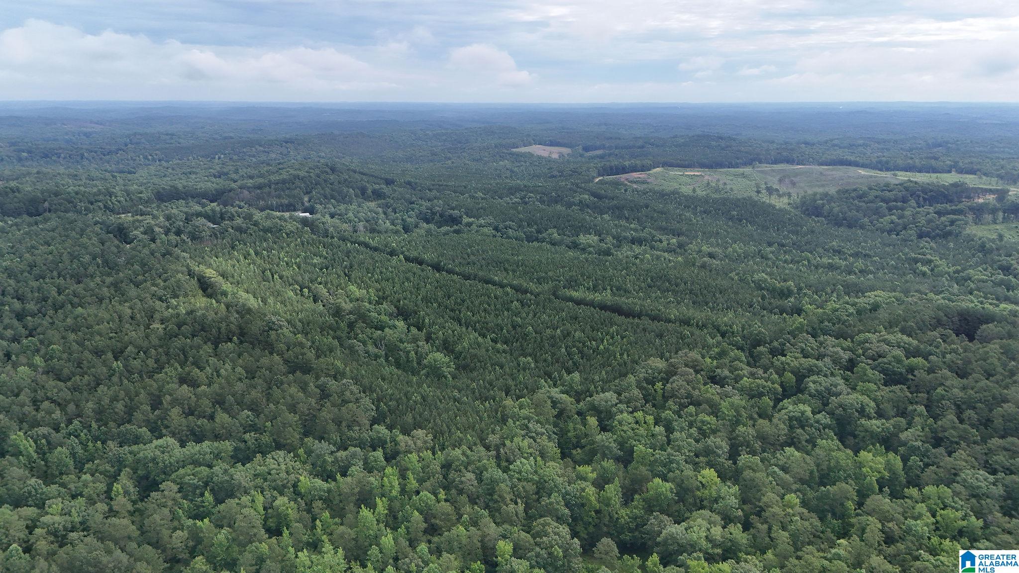 0 Skyview Lake Road Cottondale, AL 35453 - Photo 14 of 22