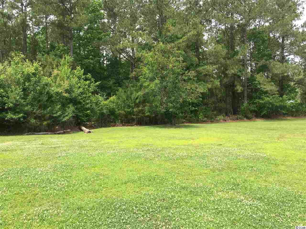 345 Morrisville Road Andrews, SC 29510 - Photo 4 of 8
