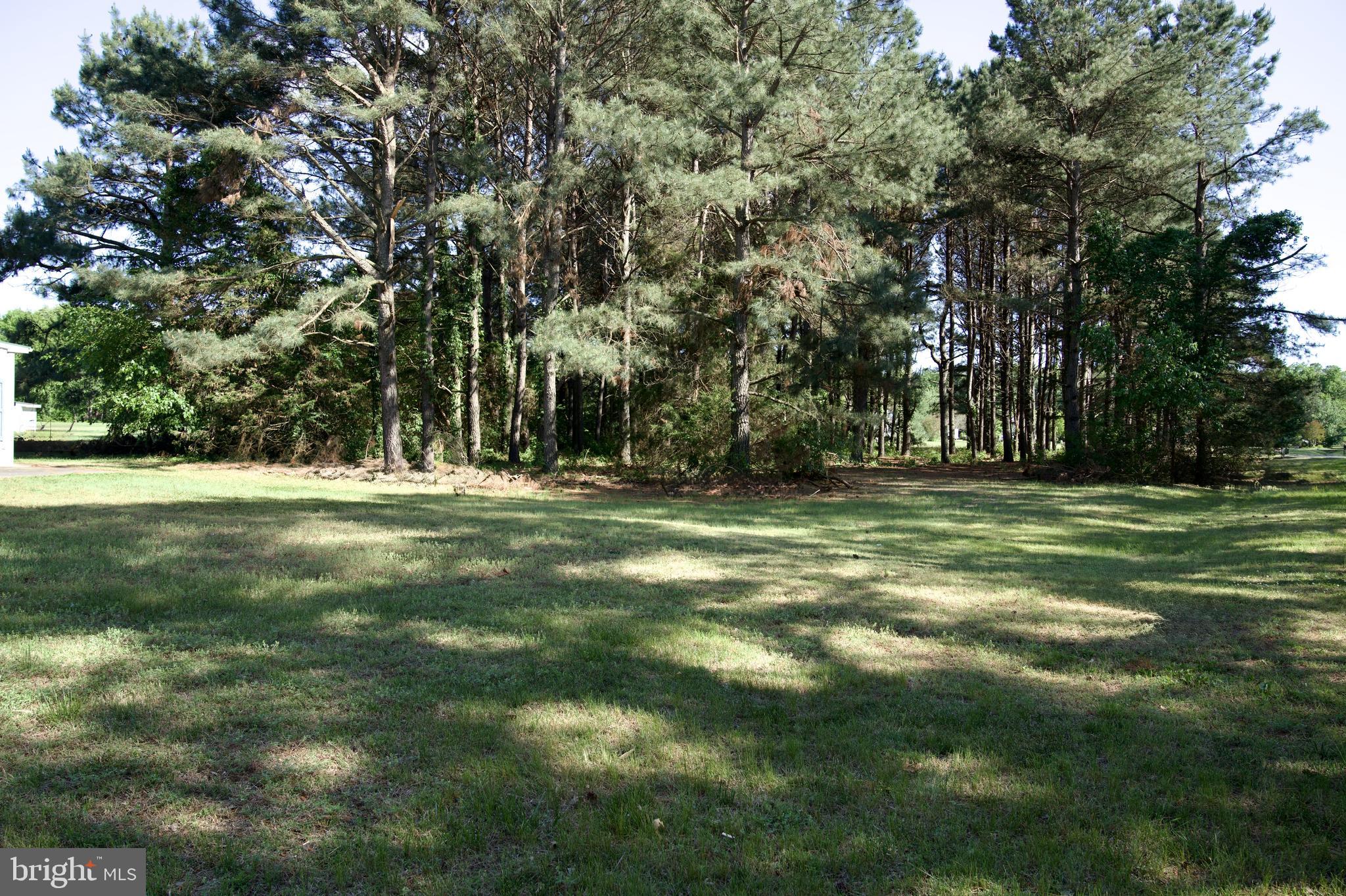 31867 Shavox Road Salisbury, MD 21804 - Photo 37 of 64 a view of outdoor space with trees all around