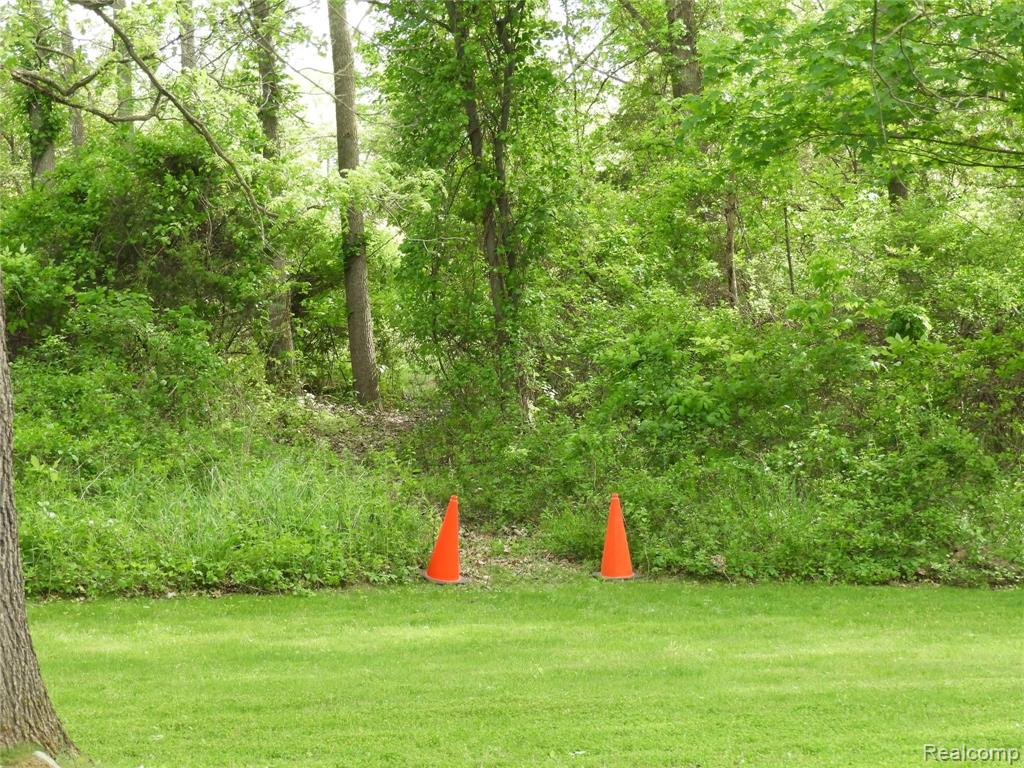 6120 Sheldon Road Rochester Hills, MI 48306 - Photo 6 of 8