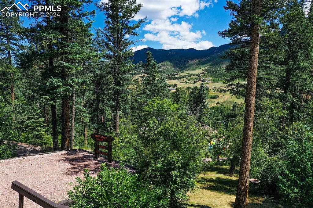 6015 Sioux Trail Cascade, CO 80809 - Photo 50 of 50 a view of a yard with a tree