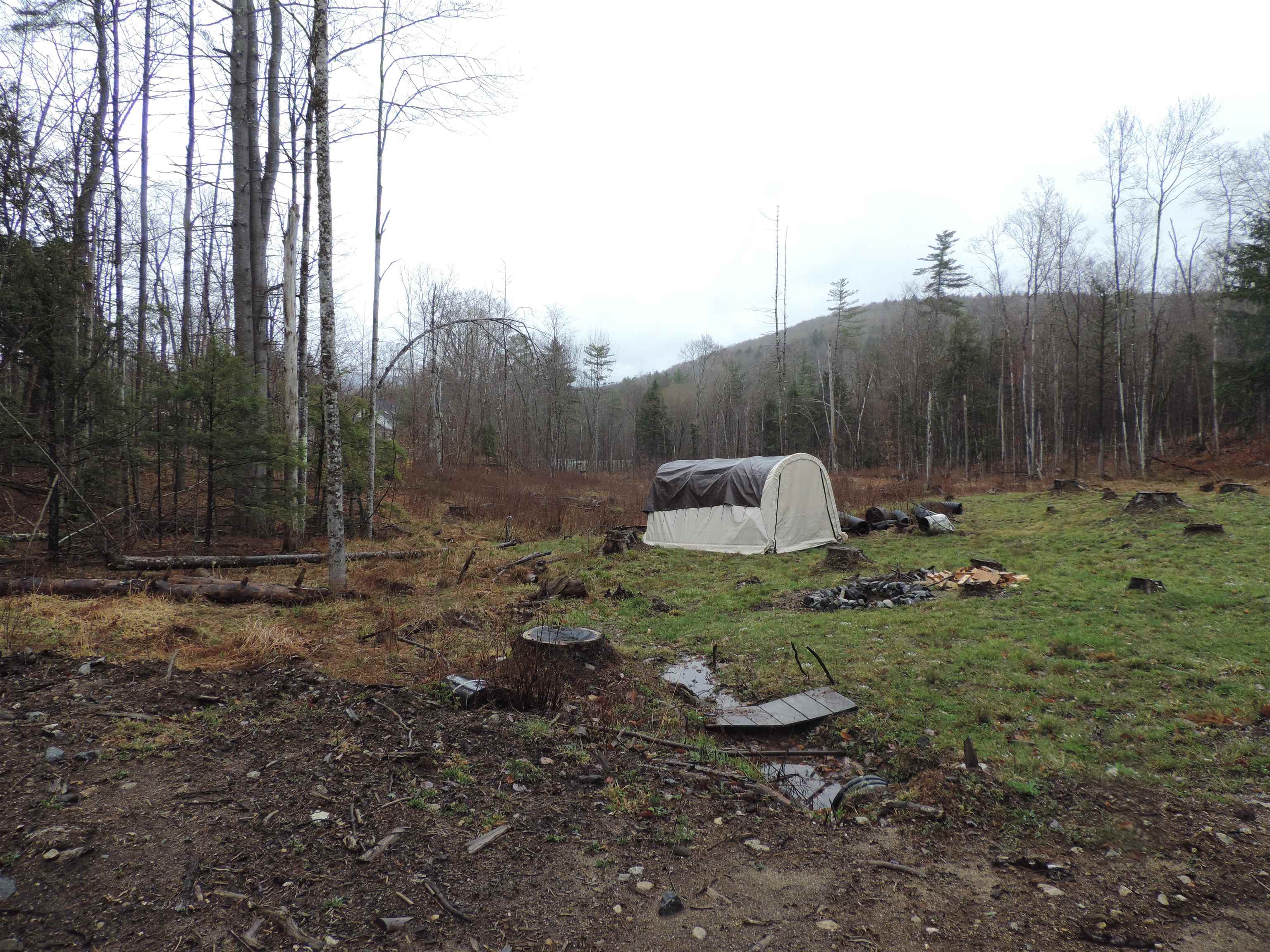 59 Frescoln Road Wentworth, NH 03282 - Photo 4 of 23
