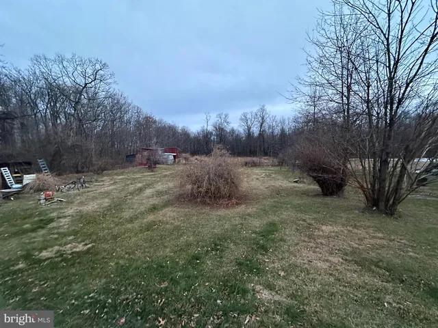 a view of a small yard