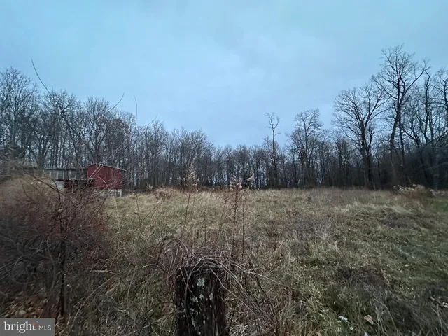 a view of outdoor space and yard