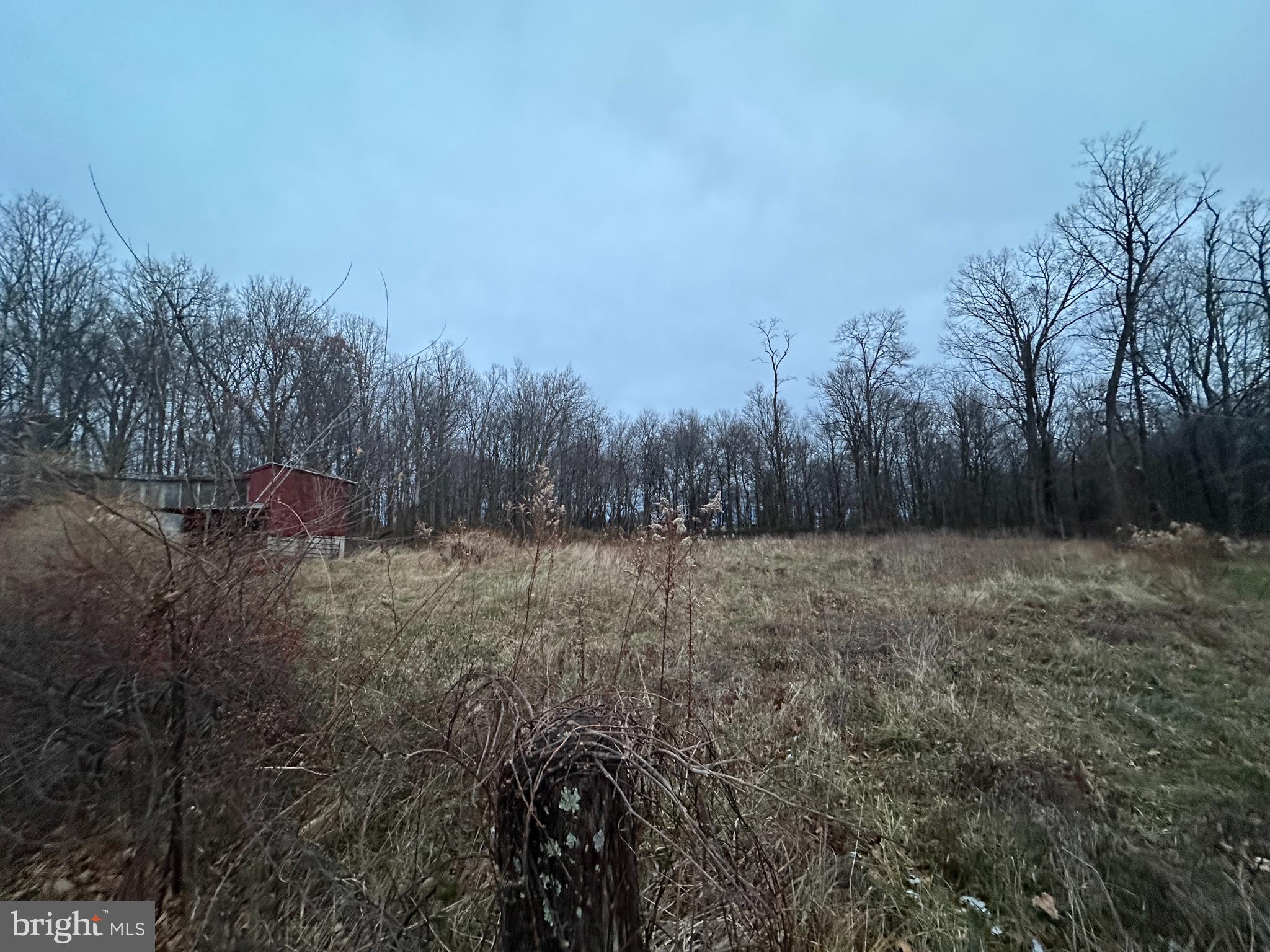 4344 Charlestown Road Mercersburg, PA 17236 - Photo 22 of 77 a view of a yard