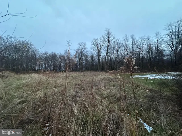 a backyard of a house with barbeque oven and a stove