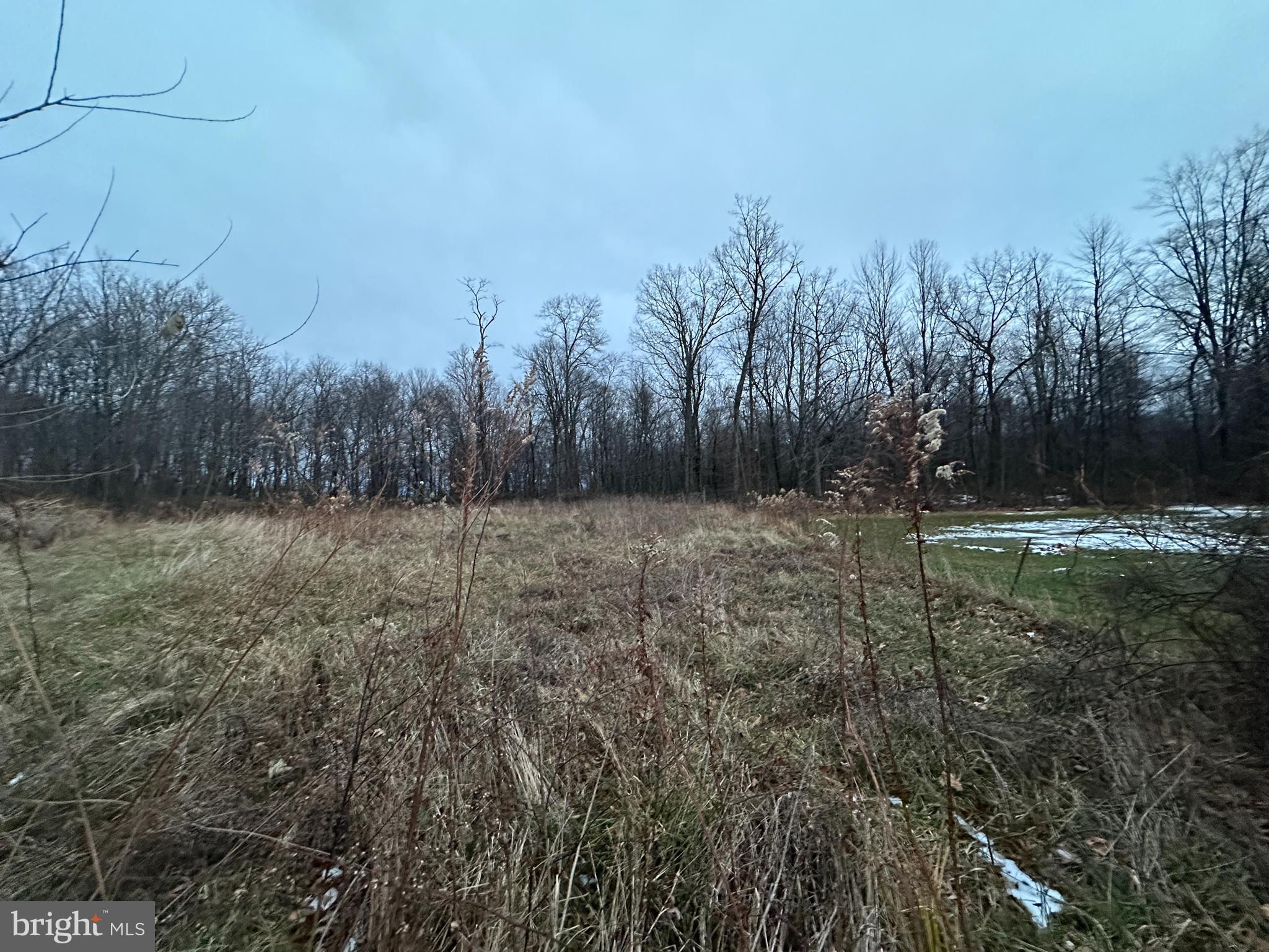 4344 Charlestown Road Mercersburg, PA 17236 - Photo 23 of 77 a view of outdoor space with green field and trees