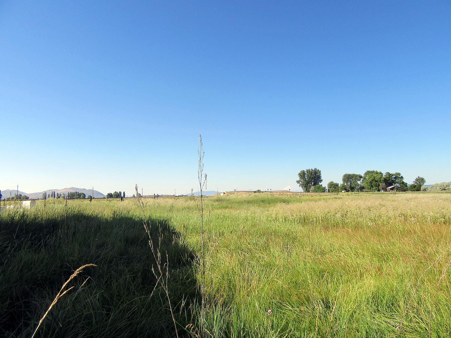 0 Joe Wright Road Klamath Falls, OR 97603 - Photo 7 of 14 Additional Photo