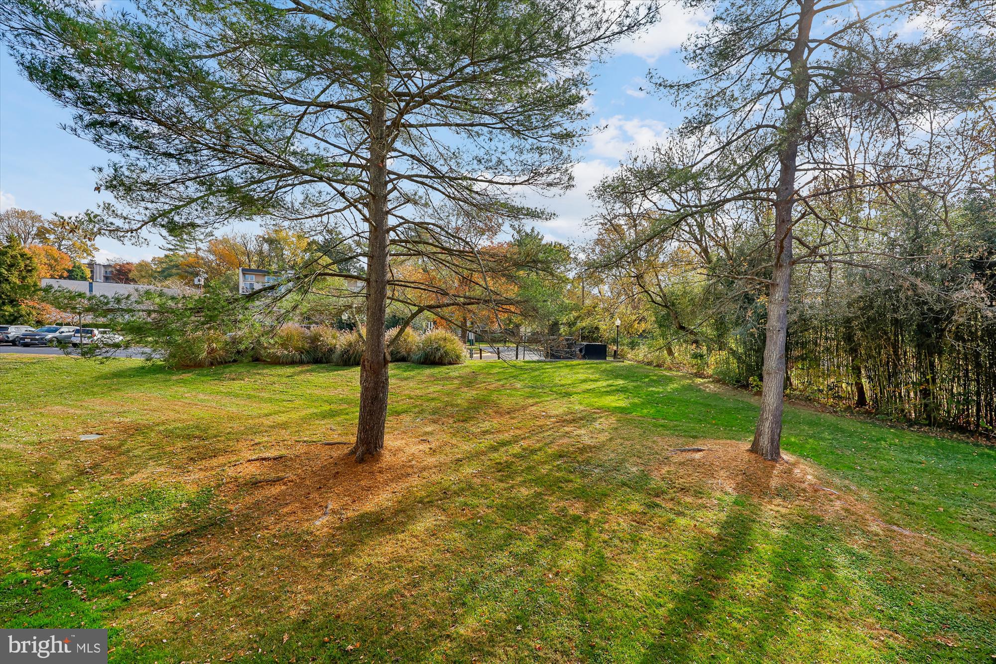 14428 Parkvale Road, Unit 3 Rockville, MD 20853 - Photo 35 of 37 a view of a yard with swimming pool