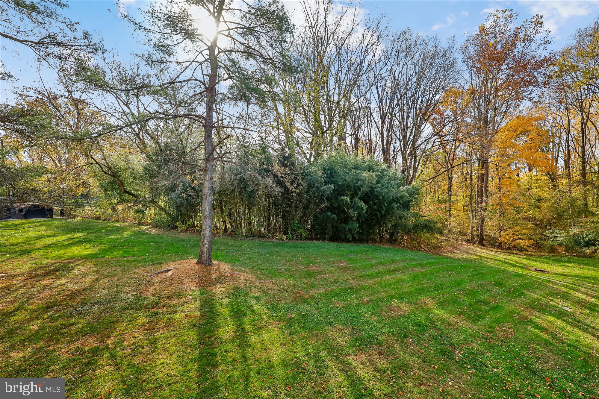 14428 Parkvale Road, Unit 3 Rockville, MD 20853 - Photo 36 of 37 a view of a backyard with large trees