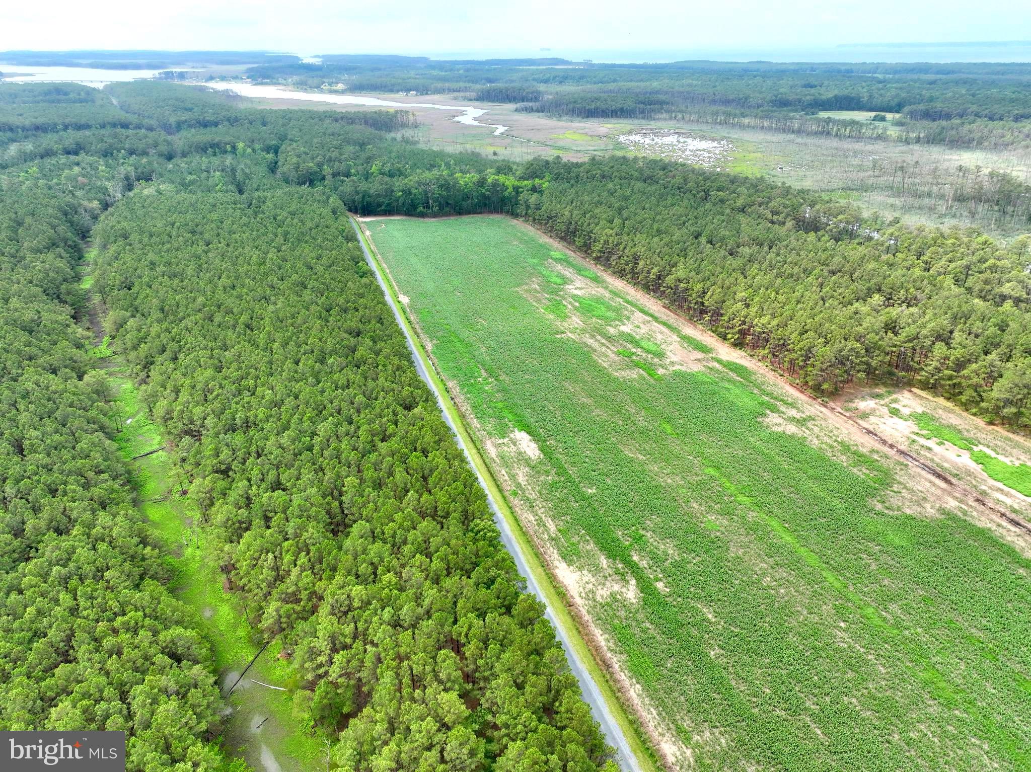 0 Hooper Neck Road Madison, MD 21648 - Photo 15 of 129