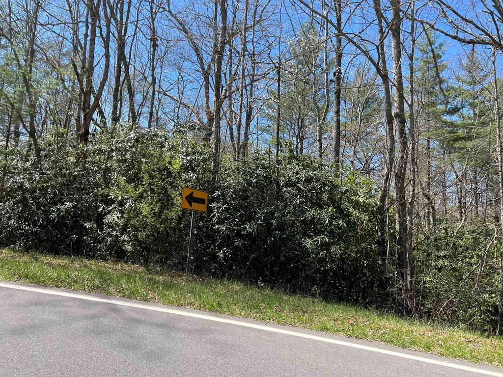 4.90 Wayah Road Topton, NC 28781 - Photo 7 of 8