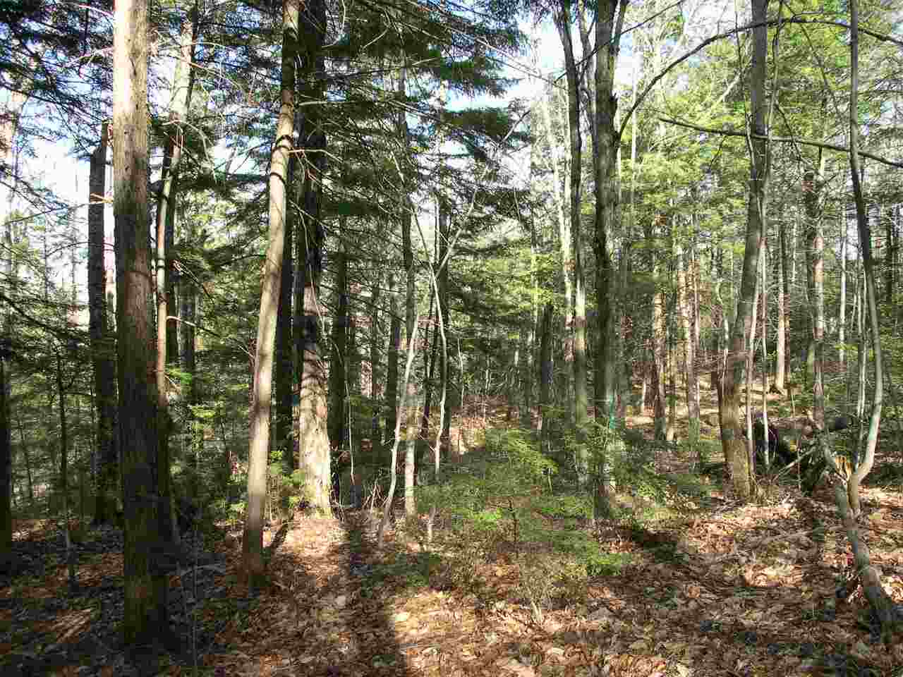 885 Mt Cardigan Road Alexandria, NH 03222 - Photo 1 of 20 Gallery Image 1