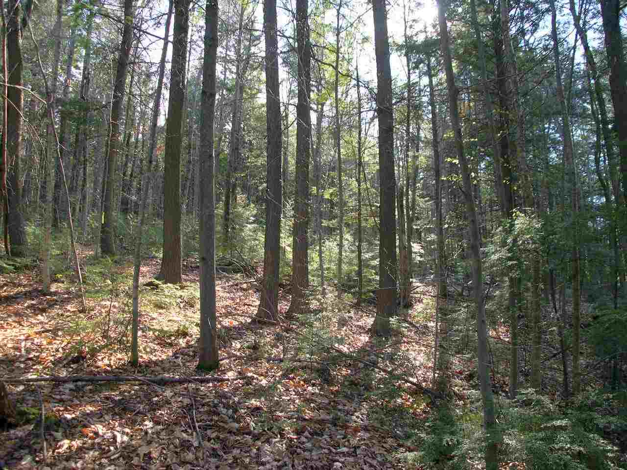 885 Mt Cardigan Road Alexandria, NH 03222 - Photo 6 of 20 Gallery Image 6