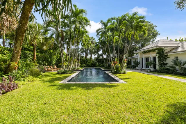 a view of a swimming pool with lawn chairs and plants