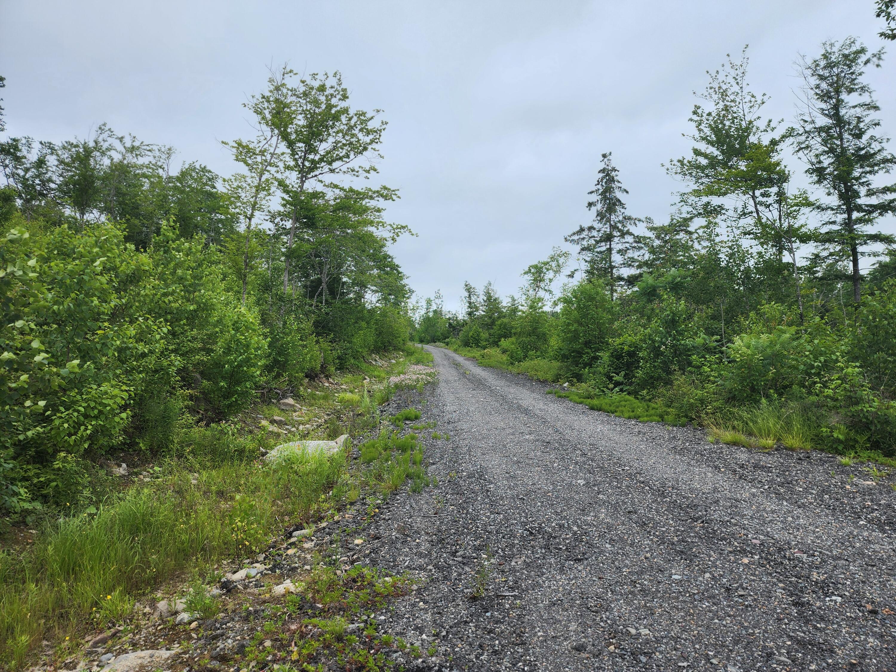 213 Moose Hl Road Ellsworth, ME 04605 - Photo 18 of 34 20250701_113432