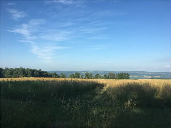 $30,000 | Van Dyke Road, Watkins Glen, NY 14891