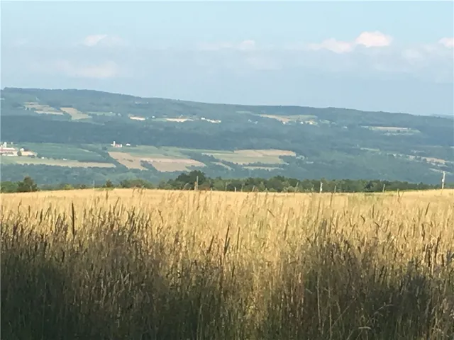 $30,000 | Van Dyke Road, Watkins Glen, NY 14891