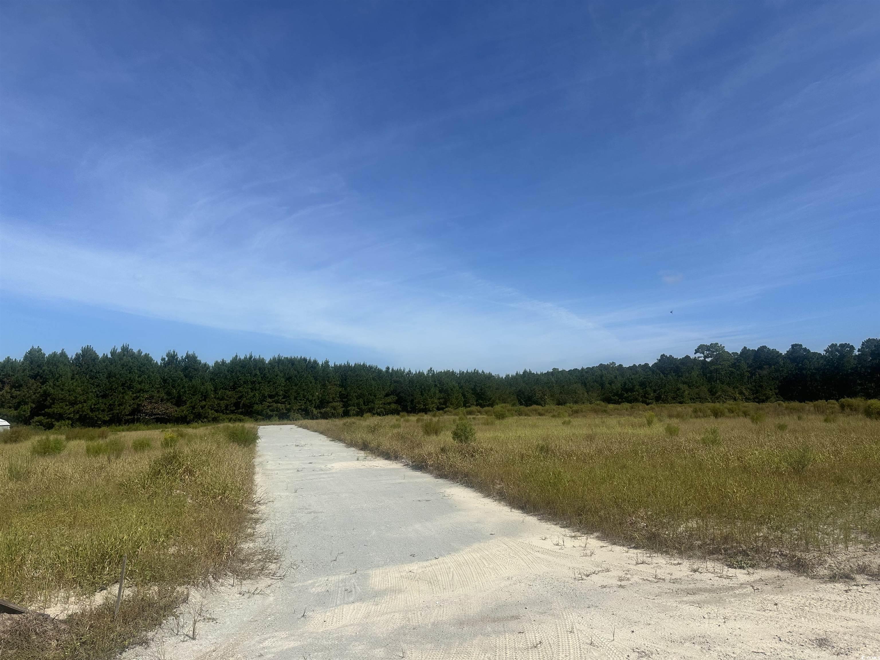 Tbd Tansy Road Loris, SC 29569 - Photo 1 of 8