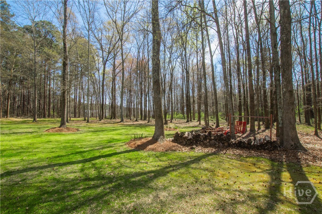 2669 Bay Ridge Drive Loganville, GA 30052 - Photo 53 of 63