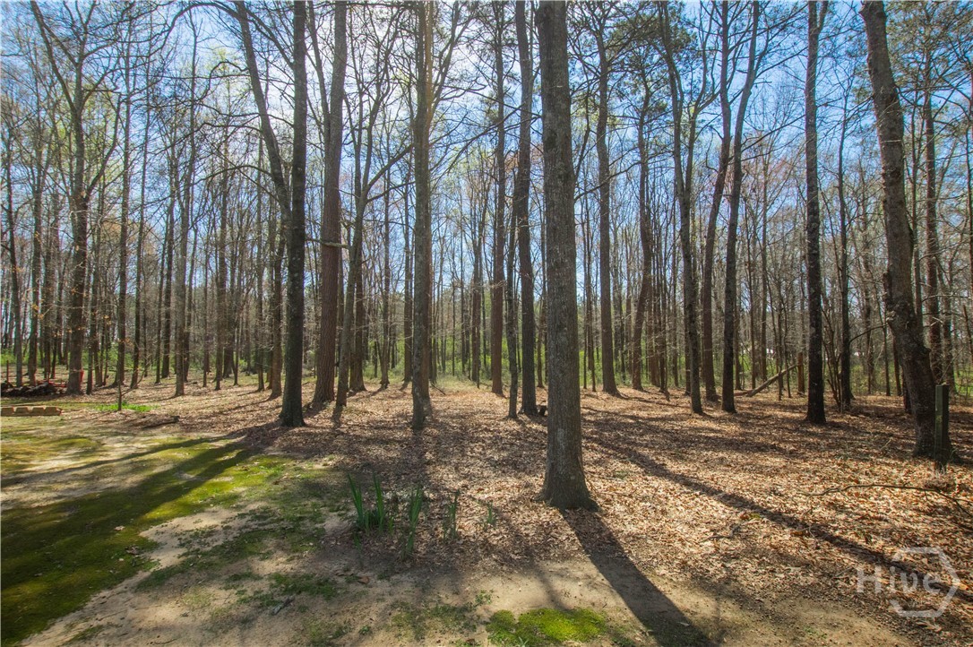 2669 Bay Ridge Drive Loganville, GA 30052 - Photo 55 of 63