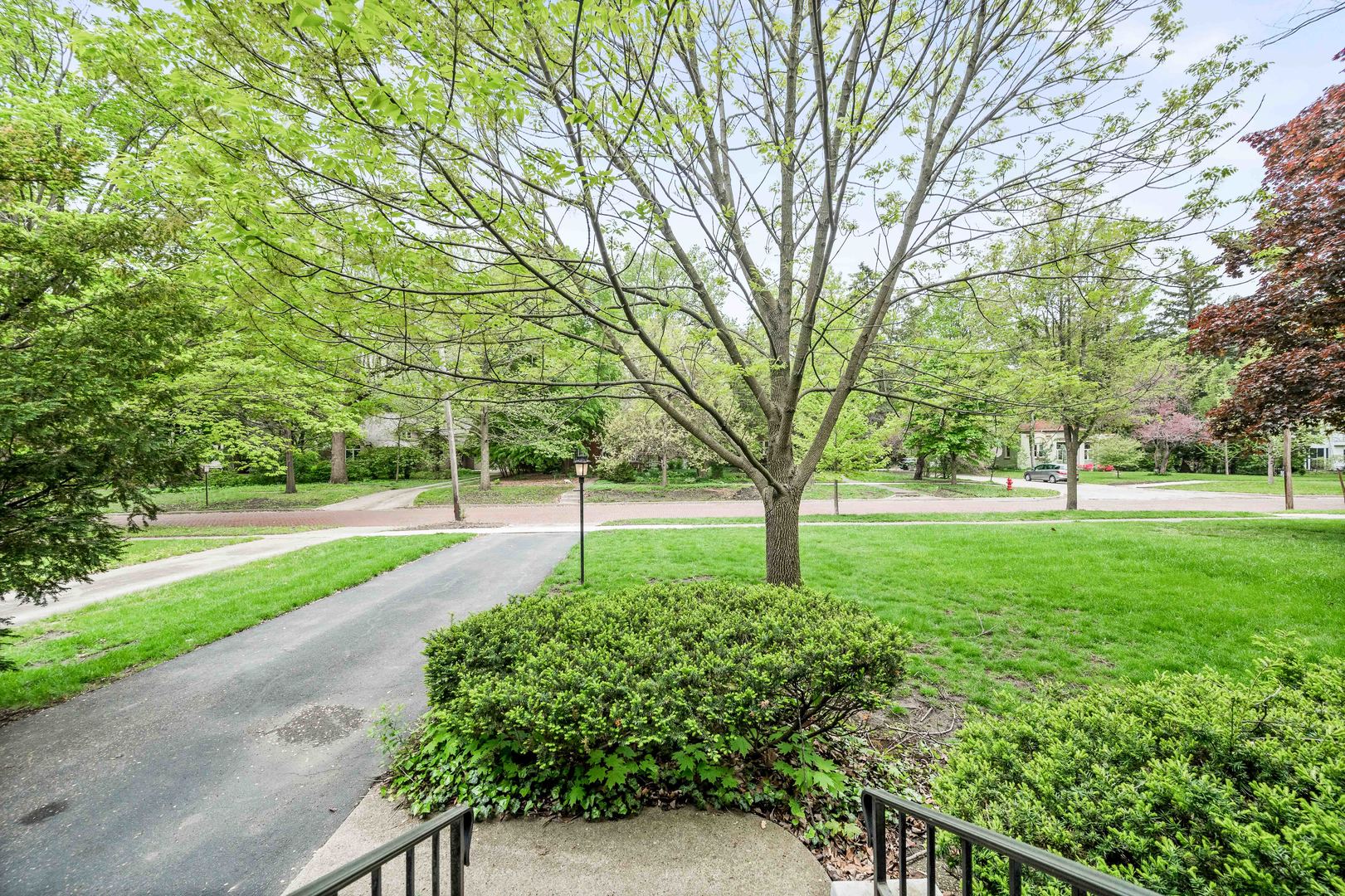 710 Normal Avenue Normal, IL 61761 - Photo 6 of 39 a view of backyard with large trees