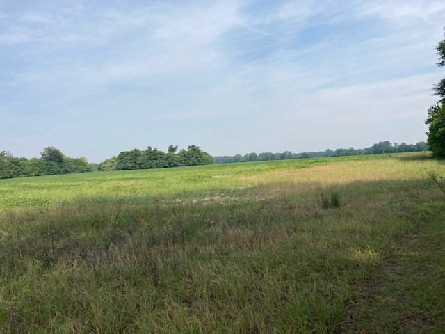 115 Black River Road Dalzell, SC 29040 - Photo 2 of 4 Gallery Image 2