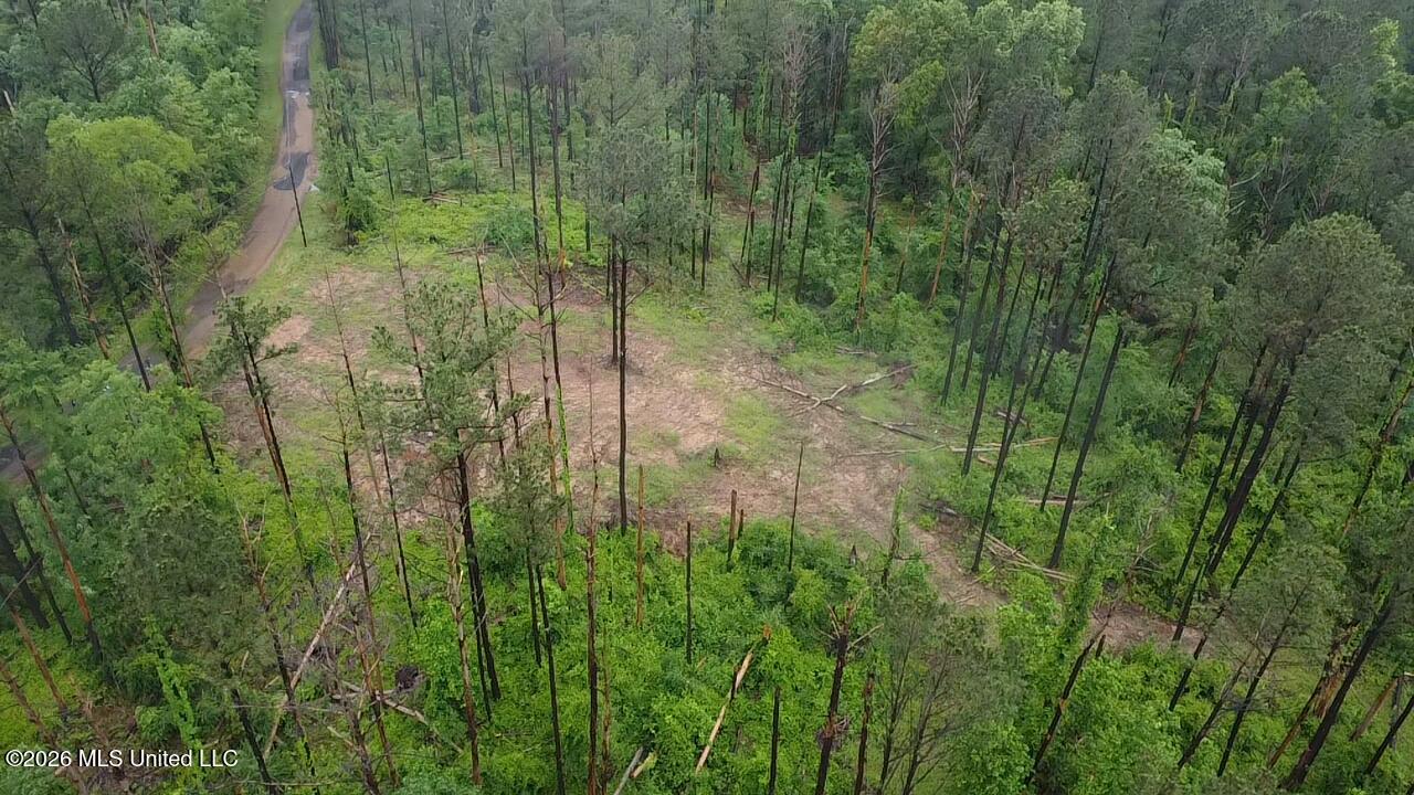 Ford Lane Crystal Springs, MS 39059 - Photo 7 of 15 2026-04-30-12-31-00-185