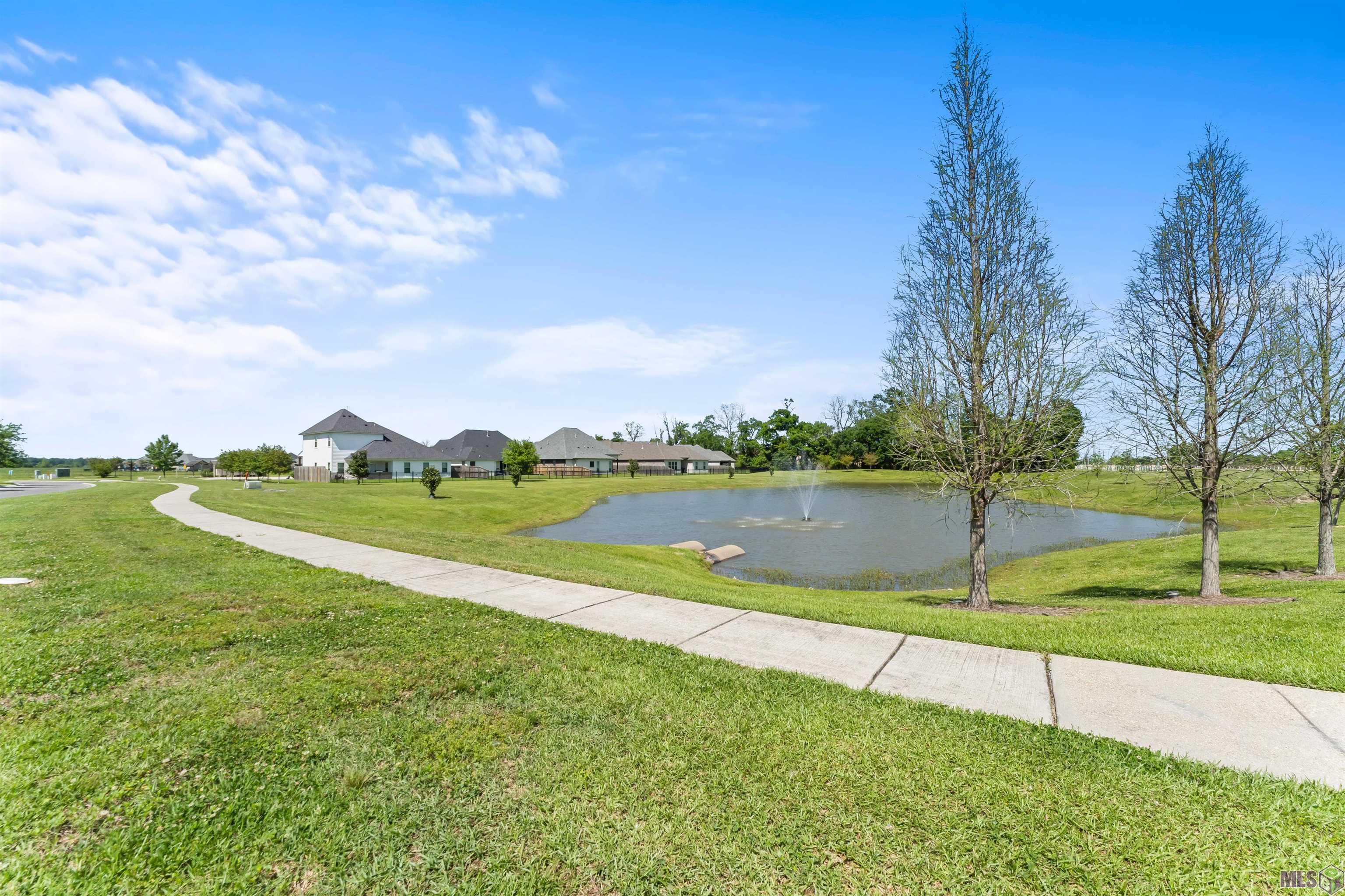 5159 Black River Road Darrow, LA 70725 - Photo 30 of 31