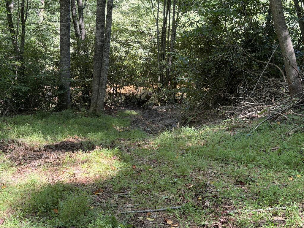 Tbd Baltimore Road Hillsville, VA 24343 - Photo 31 of 50 Gallery Image 31