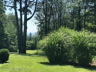 8 Heyden/ Off Chase Road Shokan, NY 12481 - Photo 44 of 51 IMG_2215