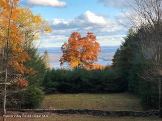 8 Heyden/ Off Chase Road Shokan, NY 12481 - Photo 46 of 51 IMG_0235