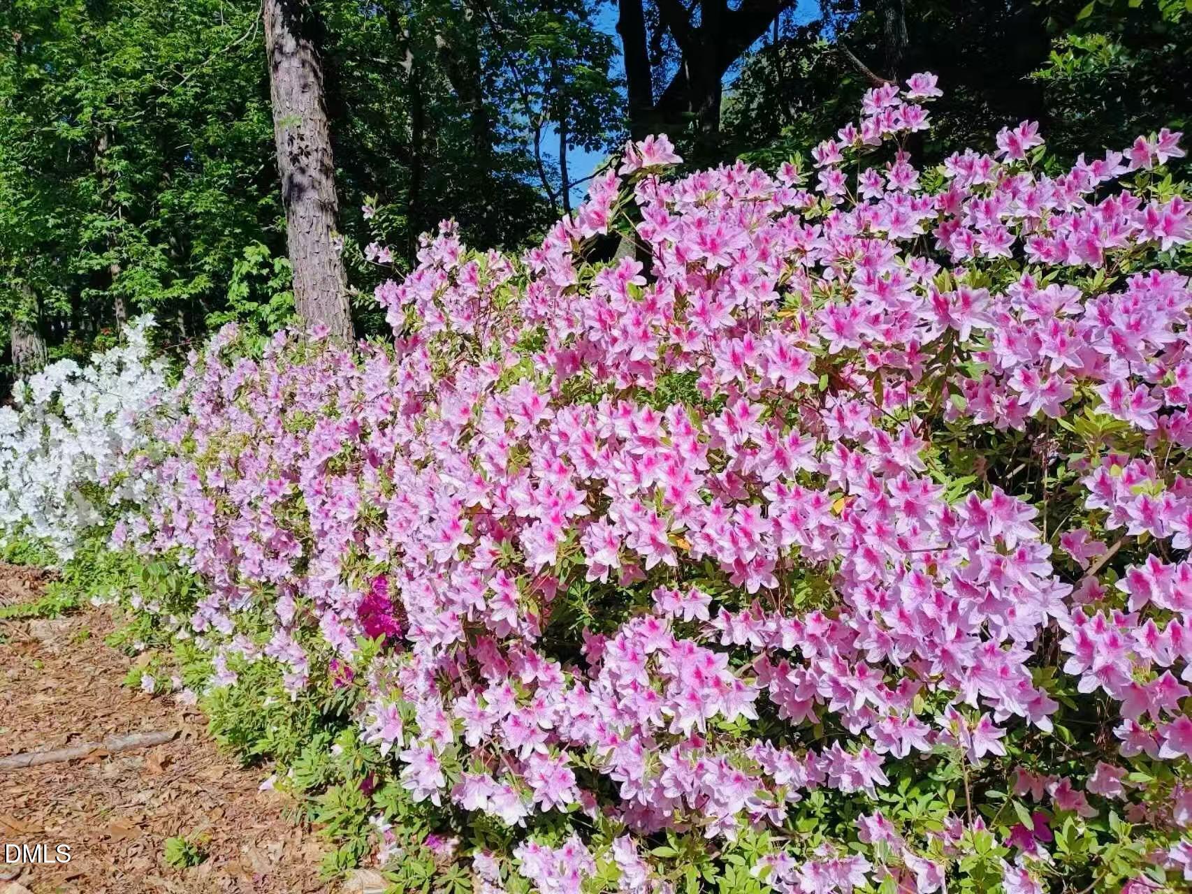 8001 Hawkshead Road Wake Forest, NC 27587 - Photo 29 of 36 Image_20260124201000