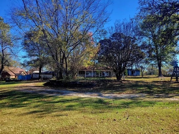 a view of a yard with a large tree