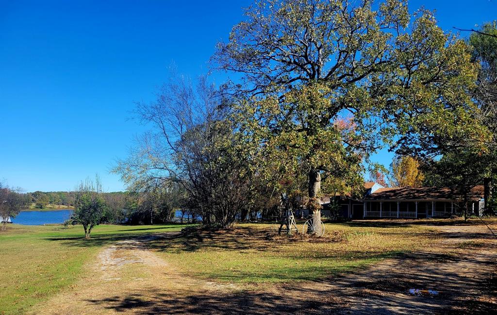 2482 Fm 2946 Emory, TX 75440 - Photo 4 of 14