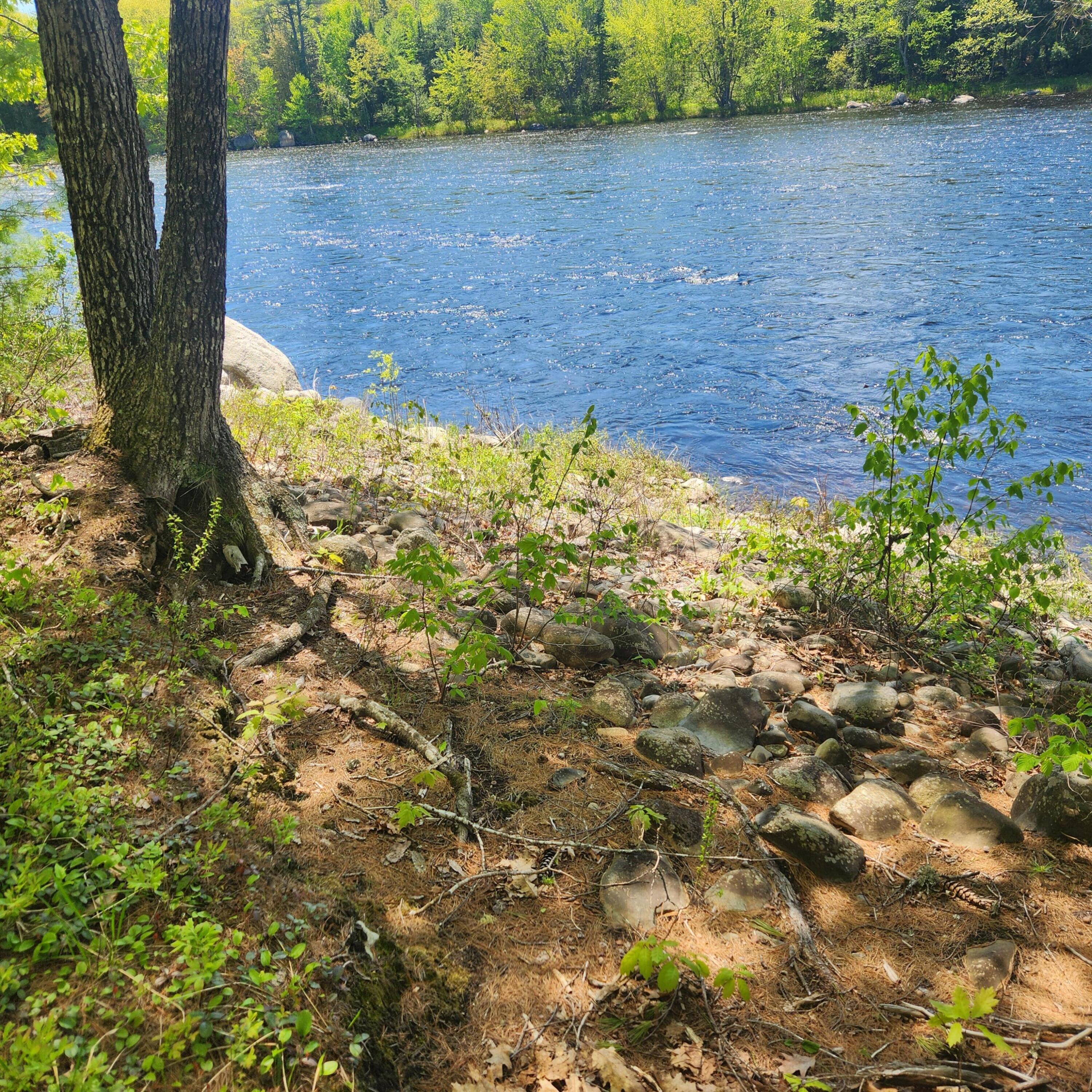 849 North Road Medford, ME 04463 - Photo 3 of 51 20250527_120618