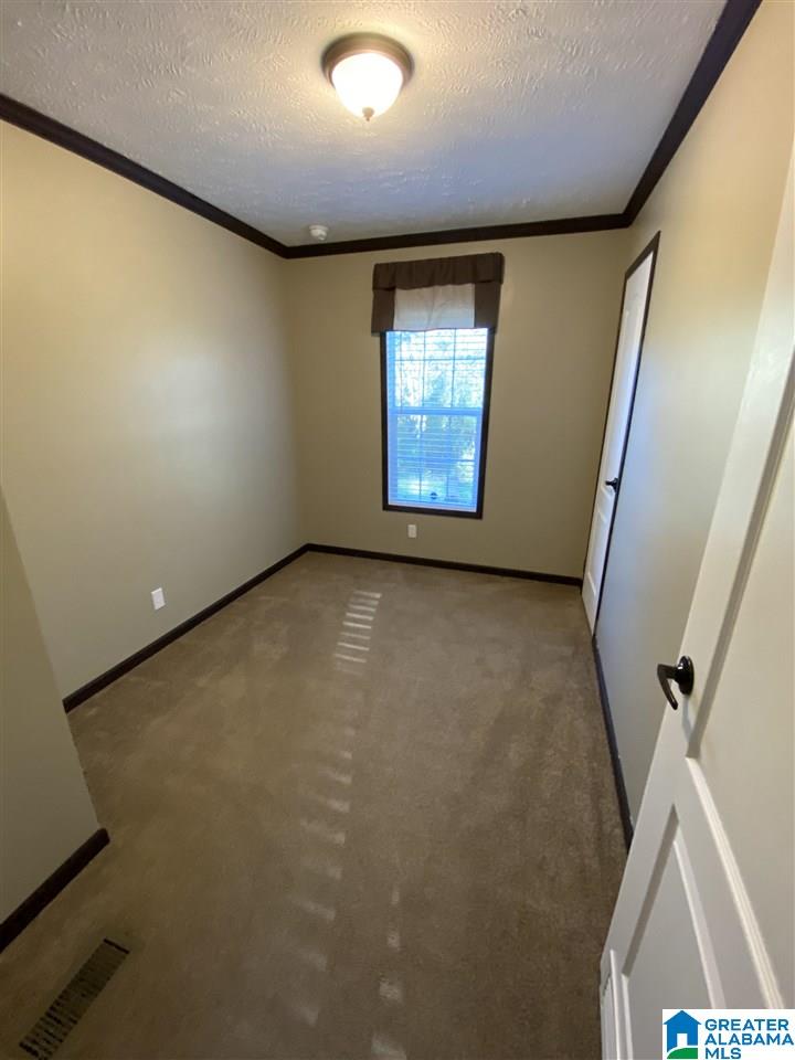 1100 Pleasant Valley Road Pell City, AL 35125 - Photo 27 of 44
