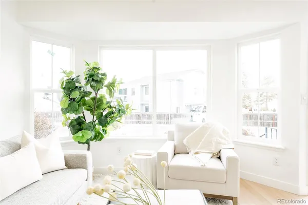a living room with furniture and a potted plant
