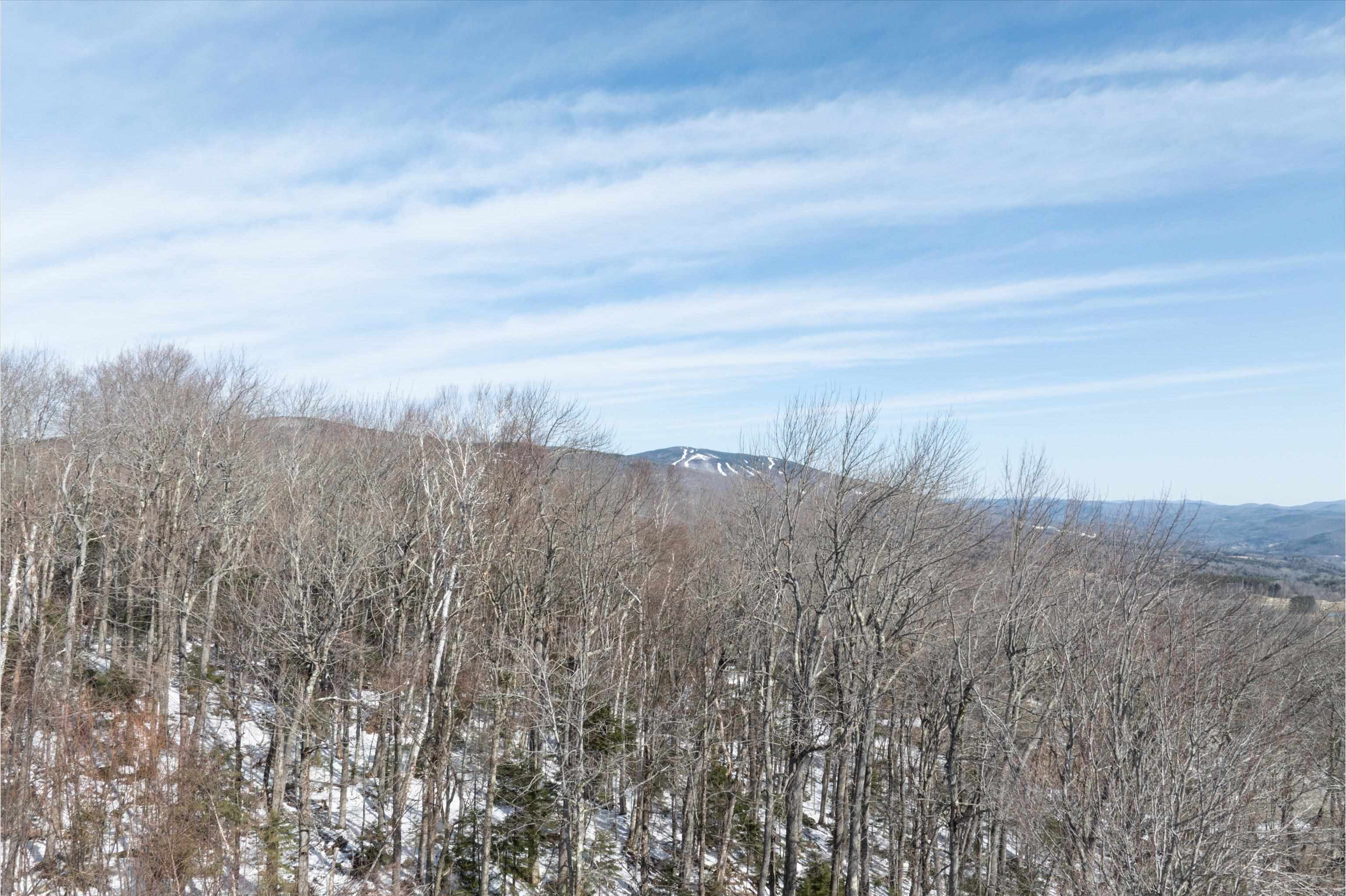 0 Valley View Drive, Unit 1 Ludlow, VT 05149 - Photo 20 of 36