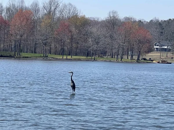 $39,777 | 950 Excalibur Trail, Cedar Grove, TN 38321