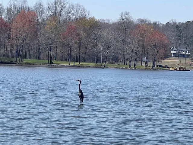 $39,777 | 950 Excalibur Trail, Cedar Grove, TN 38321