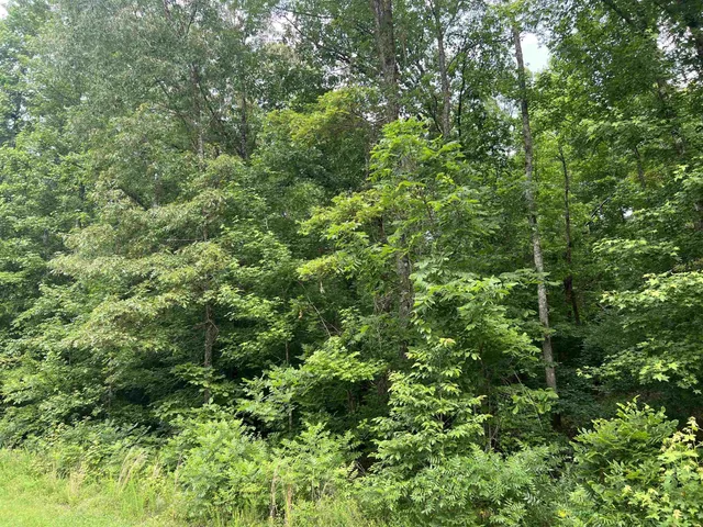 $39,777 | 950 Excalibur Trail, Cedar Grove, TN 38321