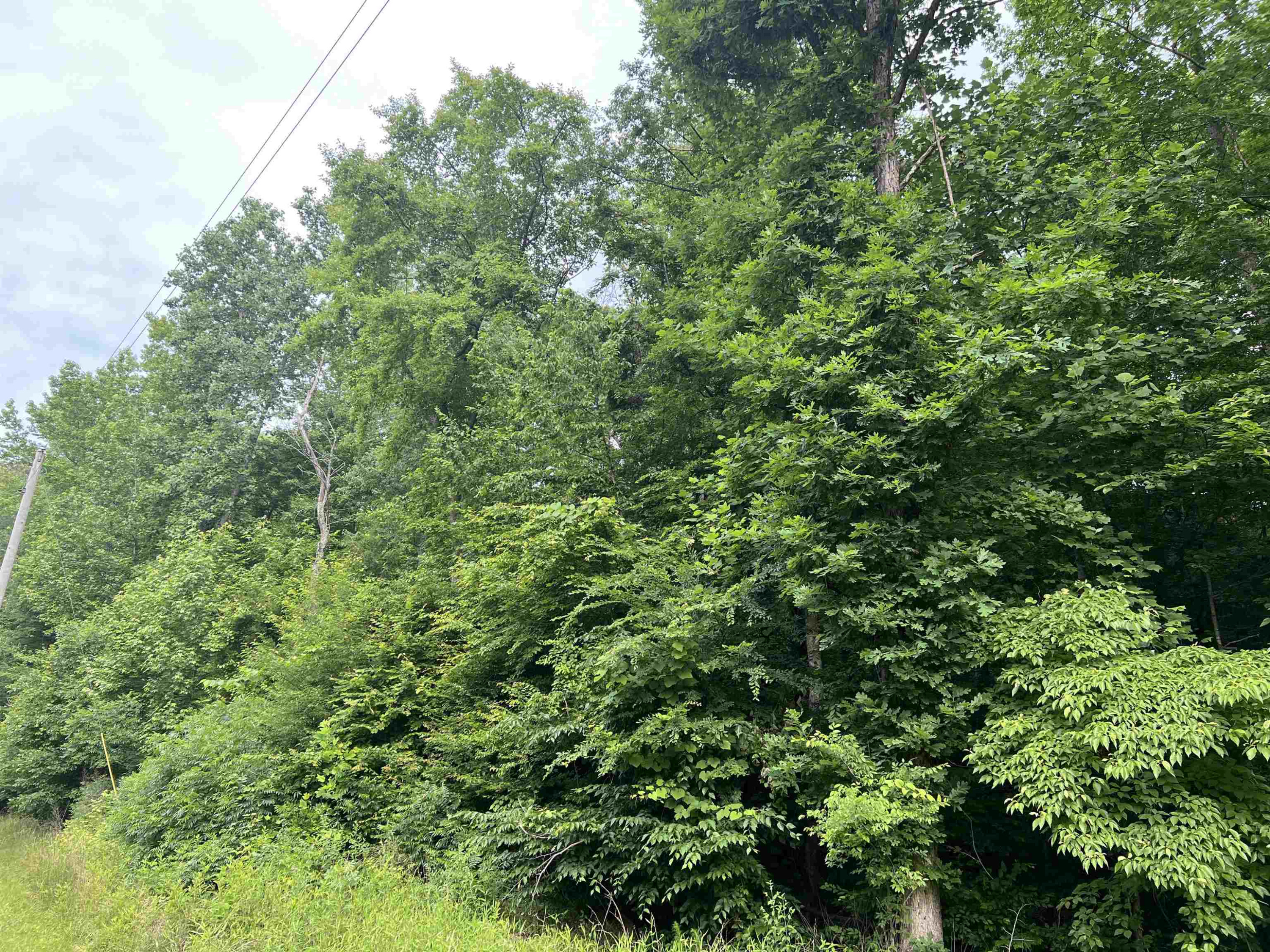 950 Excalibur Trail Cedar Grove, TN 38321 - Photo 6 of 8 Photo 6