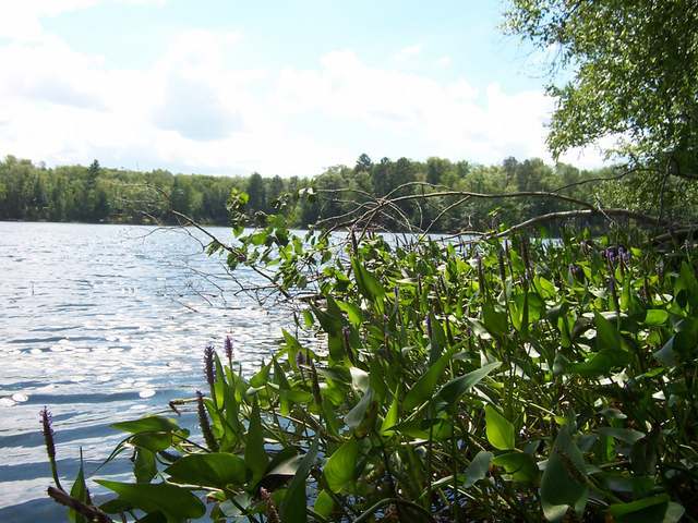 1773 Meta Lake Road Eagle River, WI 54521 - Photo 2 of 6 Gallery Image 2