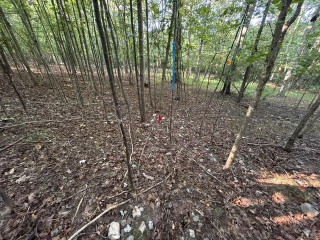 a view of outdoor space and a yard